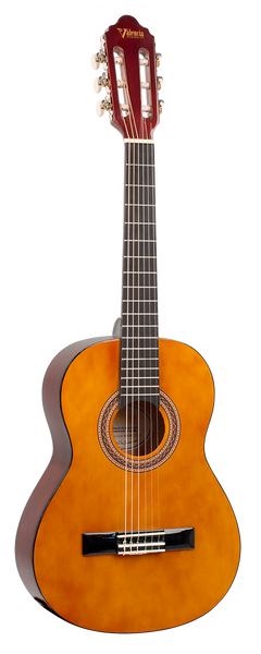 Valencia 100 series acoustic guitar