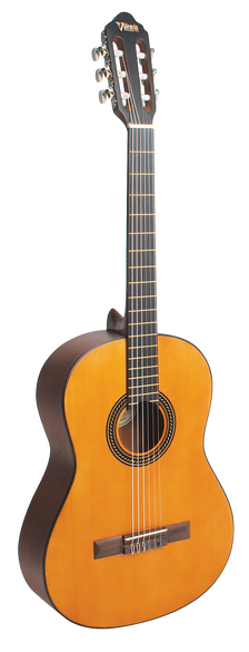 Valencia 200 series acoustic guitar