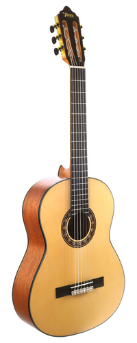 Valencia 300 series acoustic guitar.